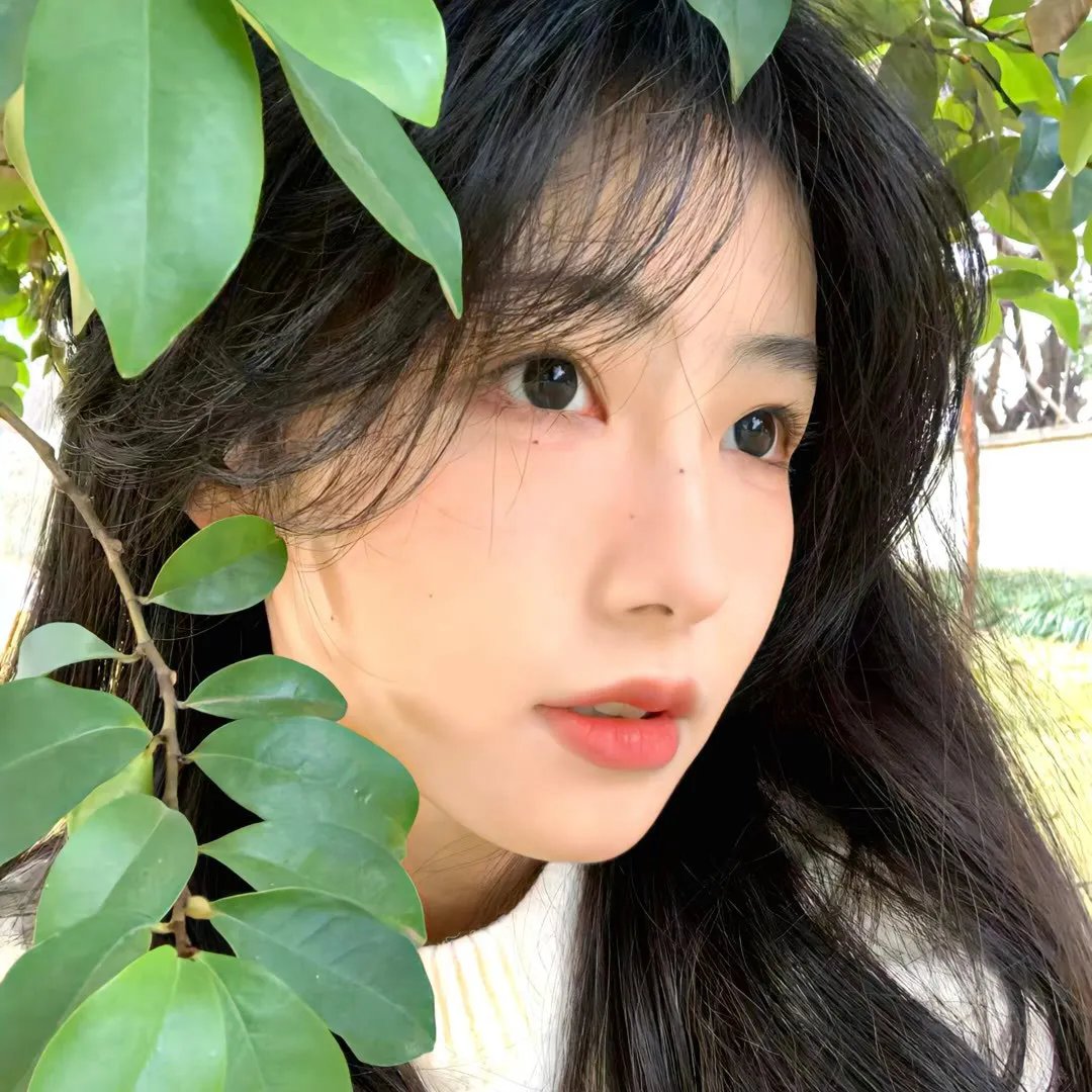 傲蕾·一兰